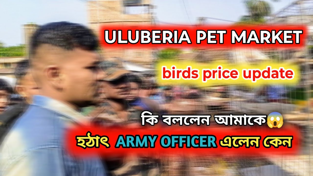 ULUBERIA PET MARKET BIRDS PRICE UPDATE ON 26th APRIL PART 2 || ARMY OFFICERএলো হঠাৎ || #birds #sale