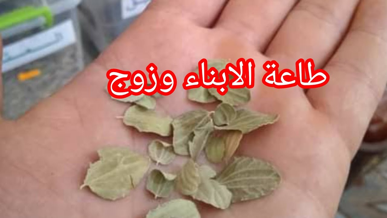 وصفة طاعة الابناء وزوج جربيها في شهر رمضان يعطيك الصحة جارتي  لي مدتلي وصفة 