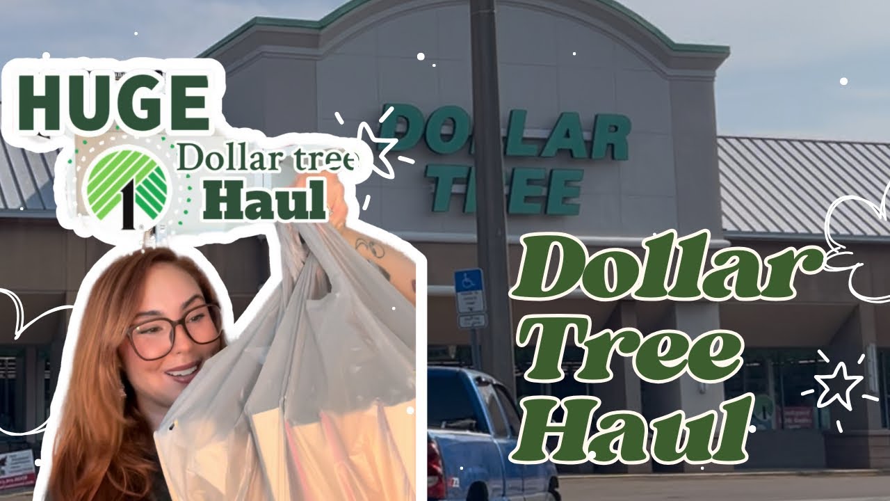 The Ultimate Dollar Tree Book haul! HUGE BOOK HAUL 📚