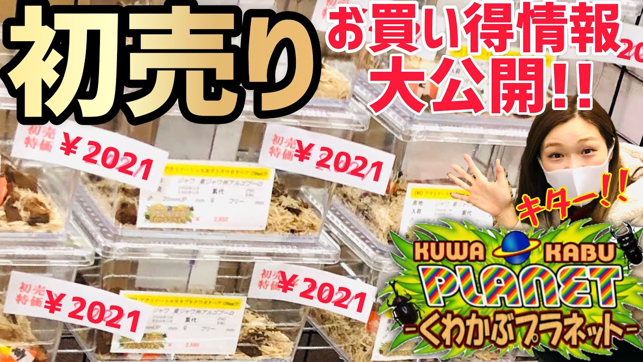 【くわかぶプラネット】2021年初売りの内容が凄過ぎる...あの高額カブトムシが...