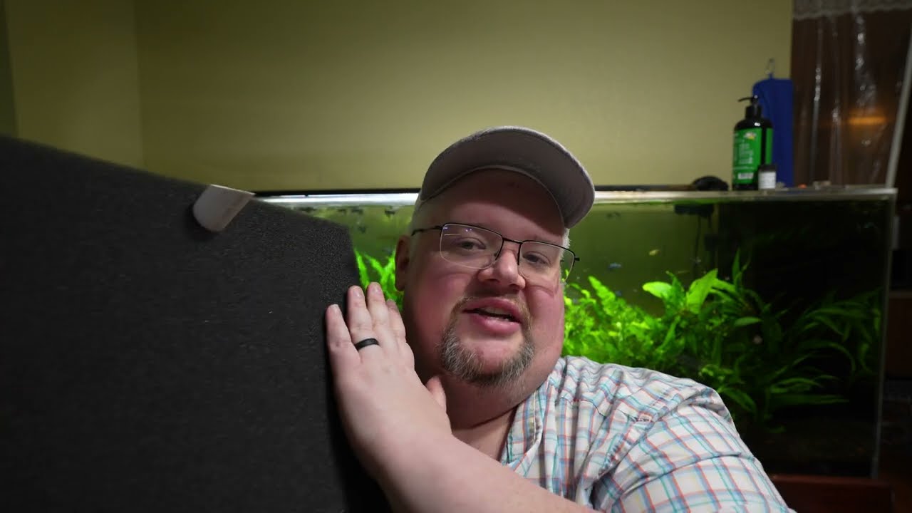 Shrimp keepers and fish breeders BEST friend? Why the Matten Filter Rocks!