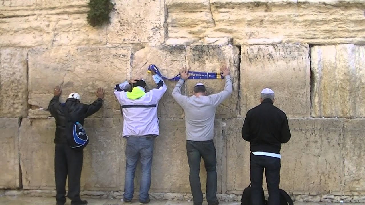 Izrael vs Bosna, BH fanaticos, Safet Susic - Zid placa 17.11.2014