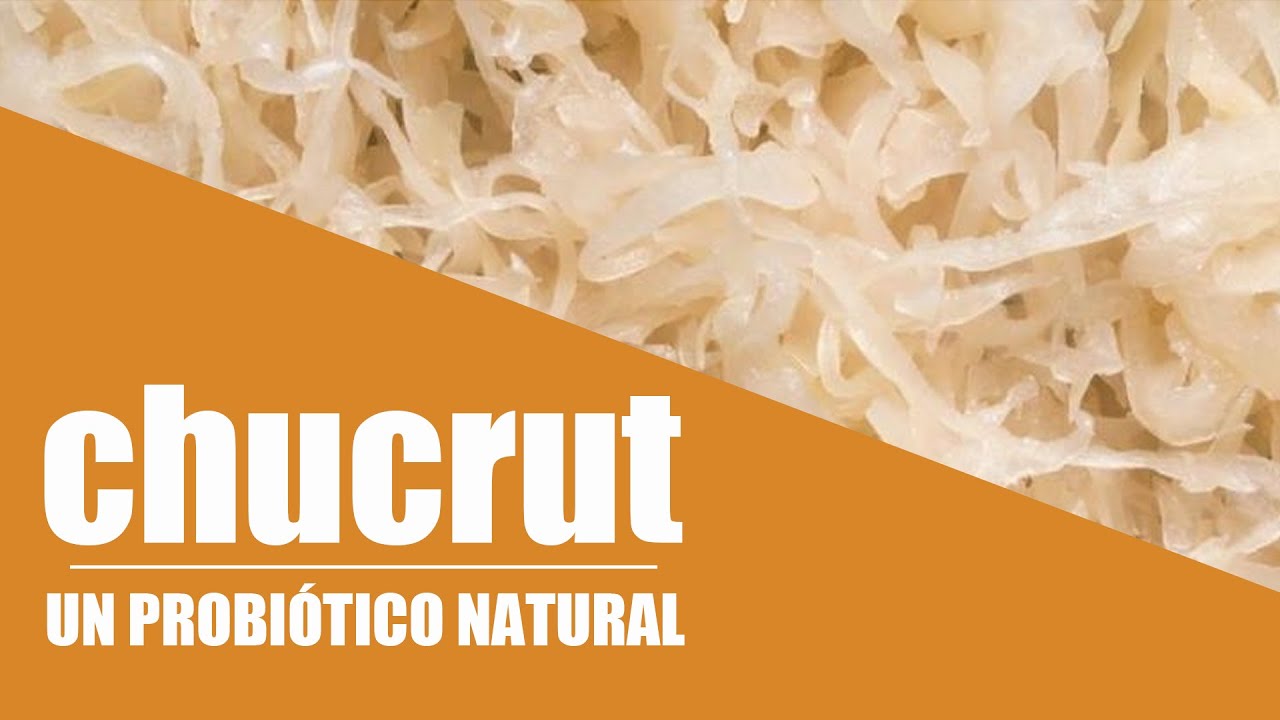 CHUCRUT. Probiótico natural