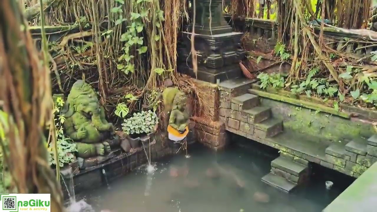 Ubud Monkey Forest, Bali