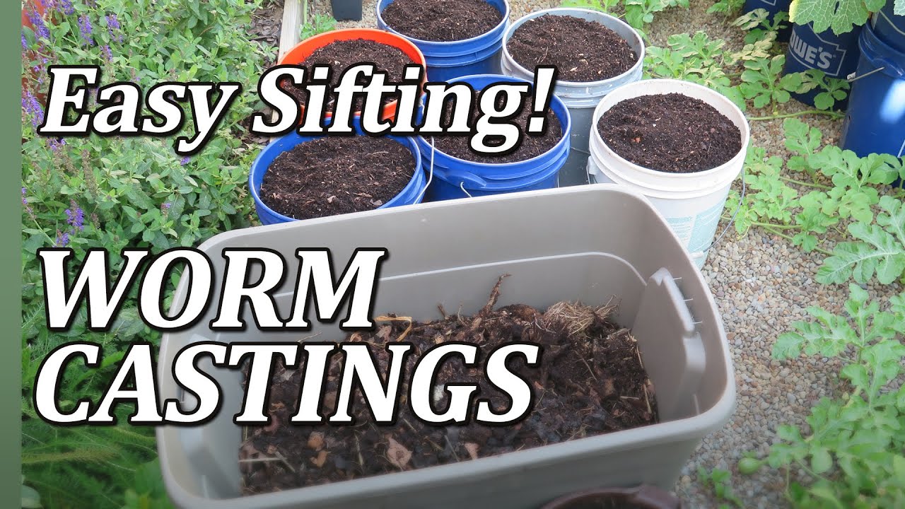 How to Sift Worm Castings from Vermi-Compost Worm Bin / Grow Box