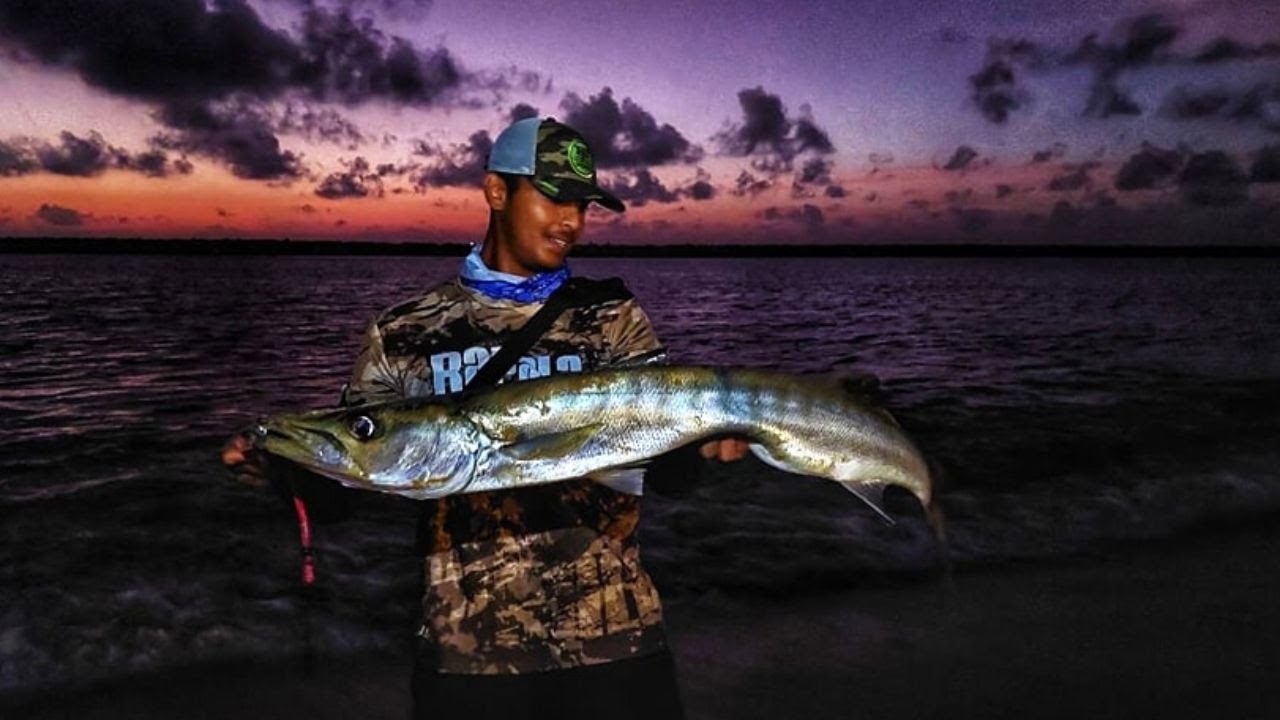 MULTI SPECIES SURF FISHING SESSION - CATCH & COOK | SNAPPER BARRACUDA GROUPER | COLOMBO SRI LANKA