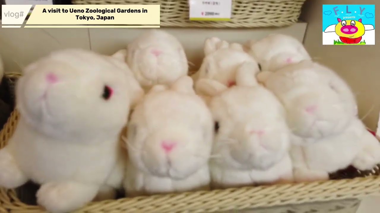 A visit to Ueno Zoological Gardens in Tokyo, Japan