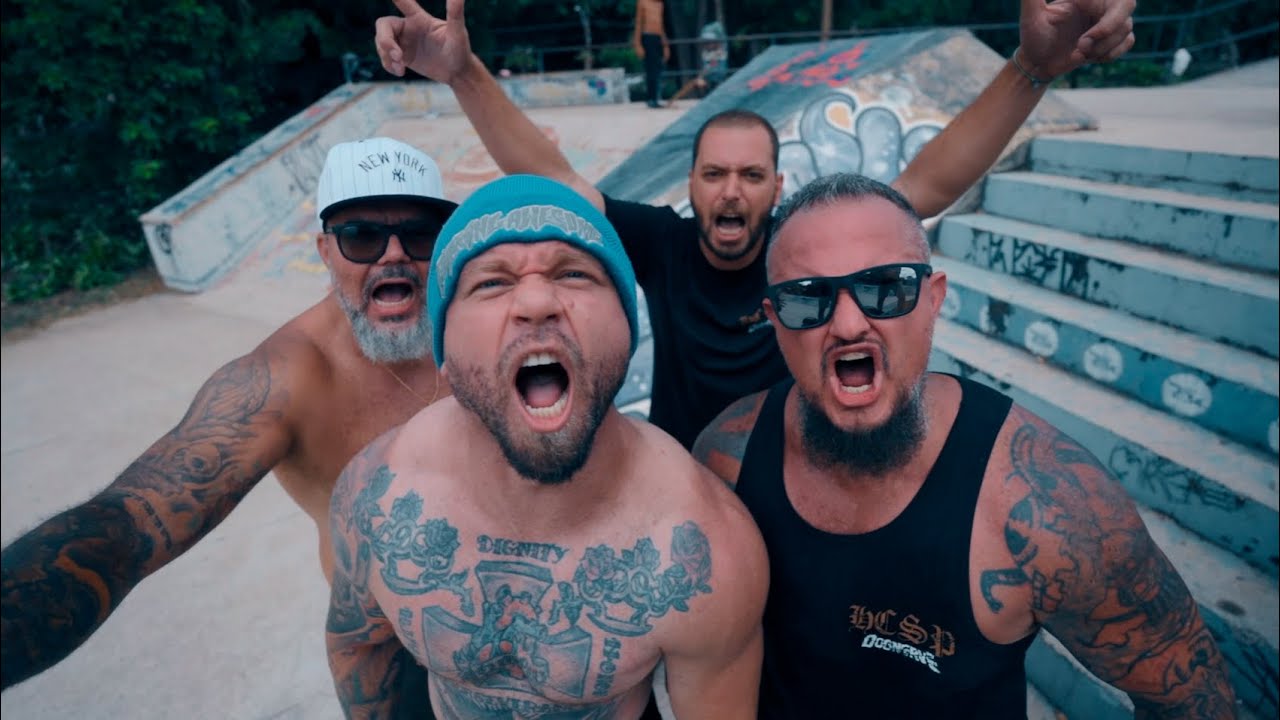 DOGNERVE - ESTILO DE VIDA