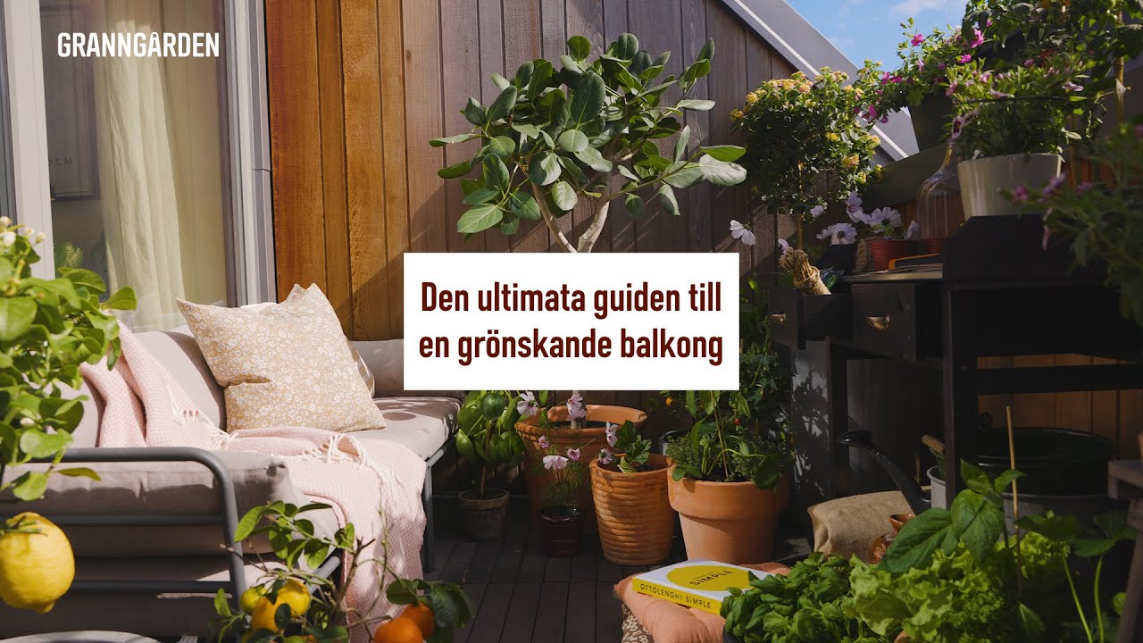 DEN ULTIMATA GUIDEN TILL ATT ODLA PÅ BALKONGEN