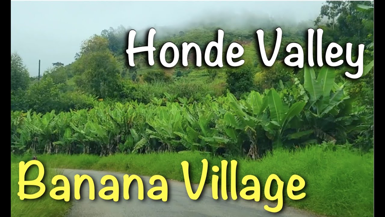 The Scenic Banana Village - Honde Valley drive