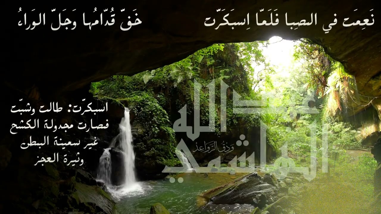 علليني ياعبد أنت الشفاء | بشار بن برد | حداء: عبد الله الهاشمي