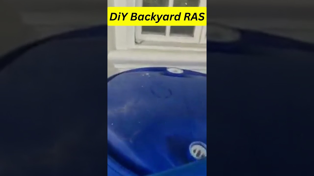 #DIY #Backyard #RASfarm #Shrimpfarming #Prawnfarming #lobsterfarming #crabfarming