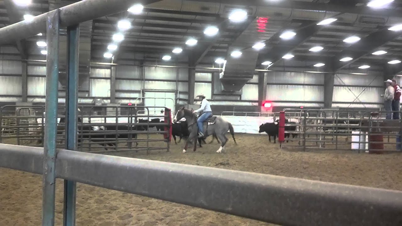 Bridgit riding Cajun with war bridle