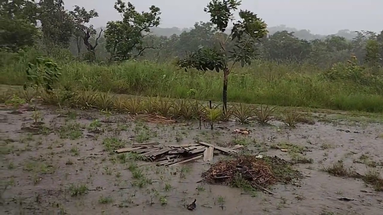 Chuva forte 