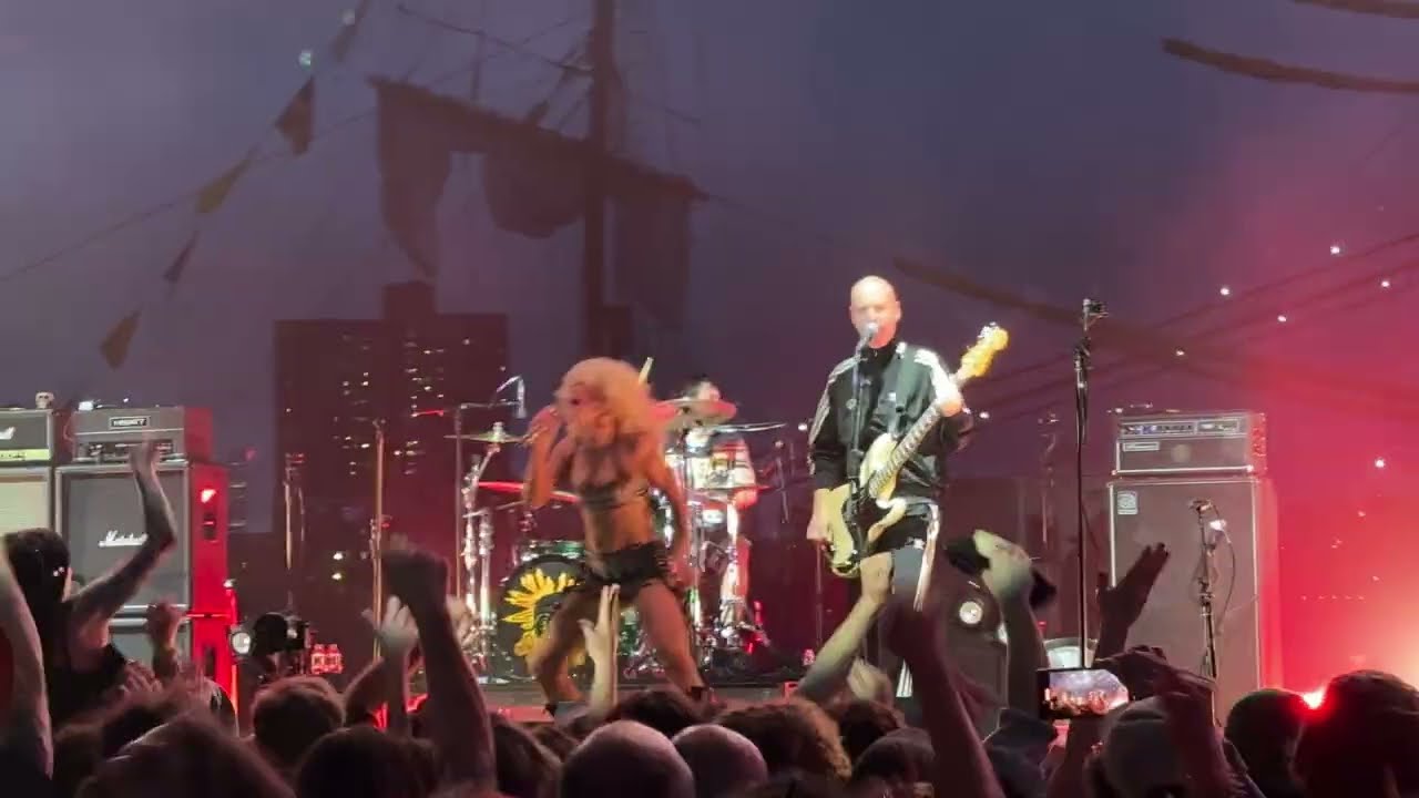 Amyl and the Sniffers perform 
