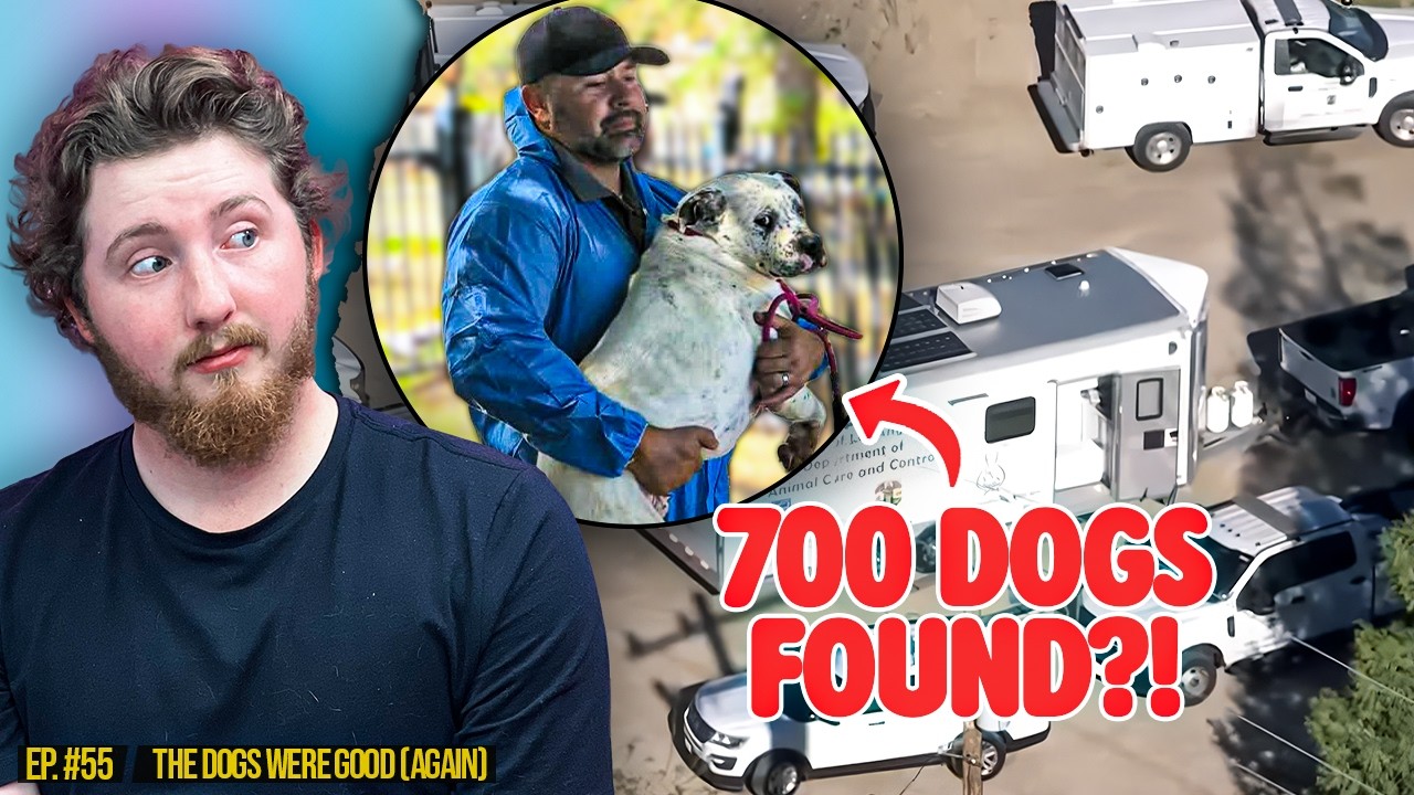 One Of The Craziest Dog Rescue Stories Ever!