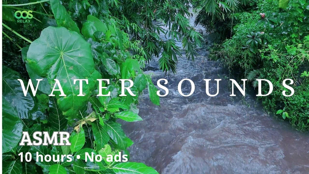 Flowing Water Sounds and Birds Chirping for Stress Relief & Sleep