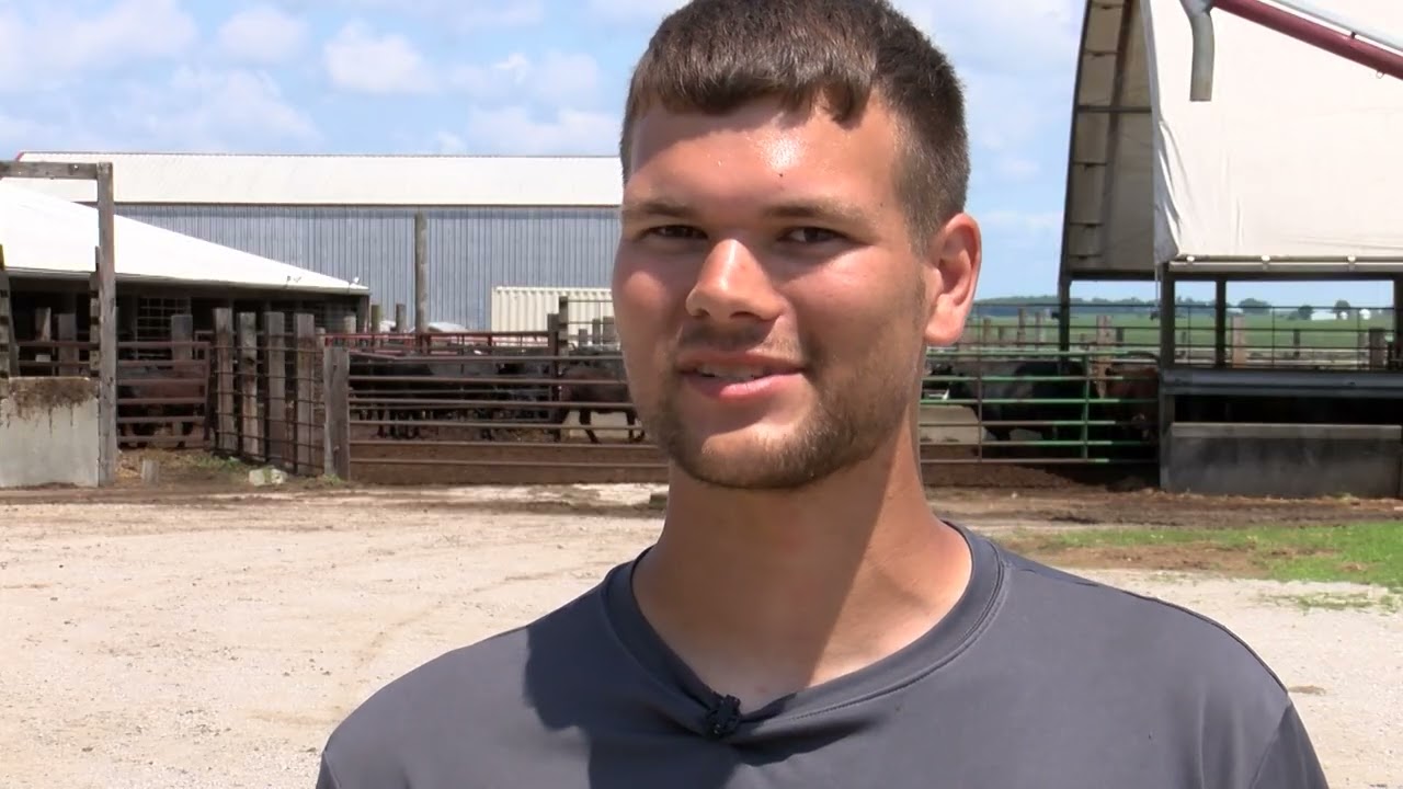 After the Storm: Family Scrambles to Find Missing Herd Amid Devastations