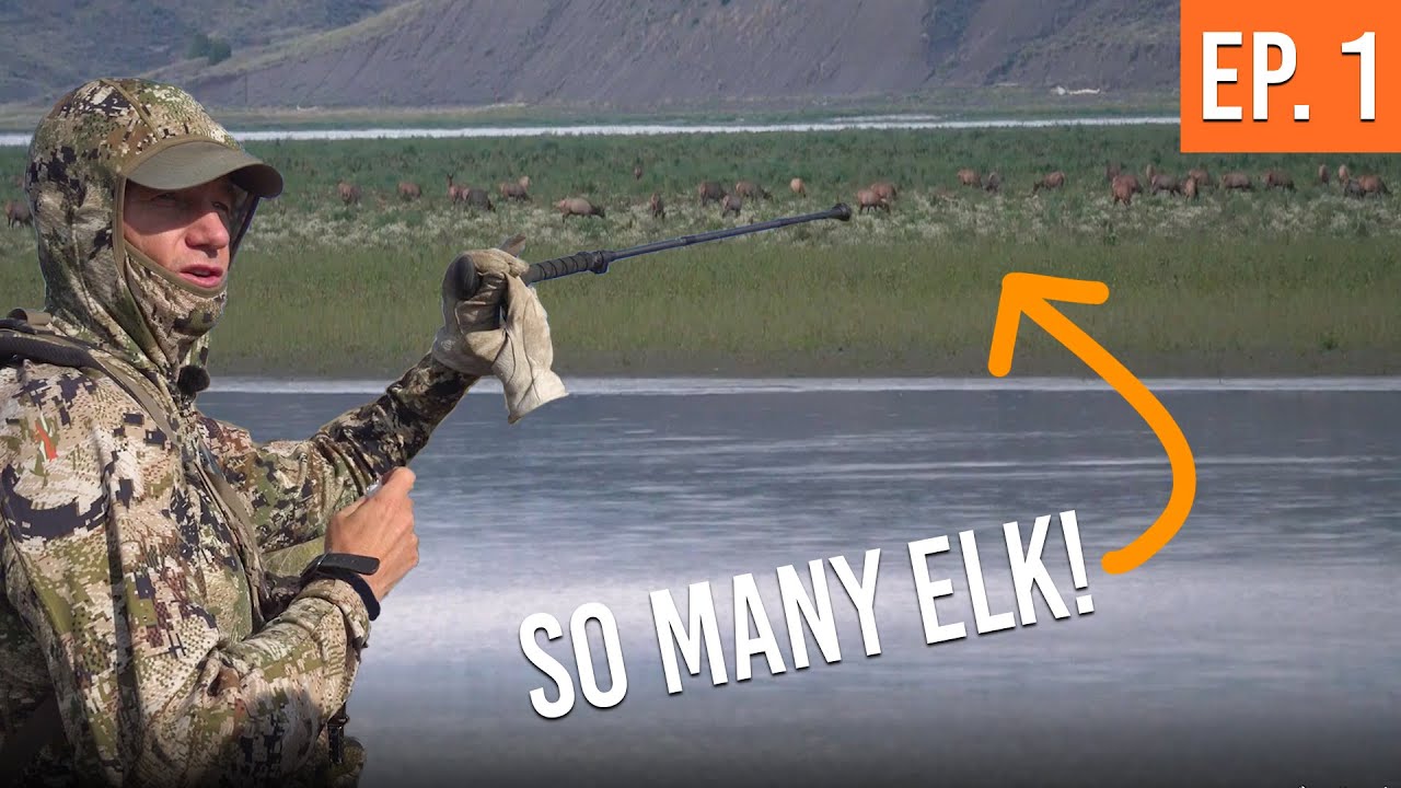 Мы нашли мега-стадо! | Montana Archery Elk (Эпизод 1)