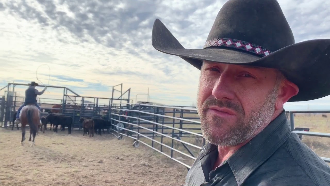 Buster and His Buddies Doing Some Urban Ranchin&rsquo;