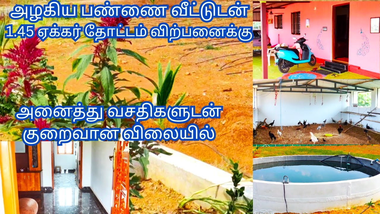 1.45 ஏக்கர் தோட்டம் பண்ணனை வீடு அனைத்து வசதிகளுடன் குறைவான விலையில் விற்பனைக்கு