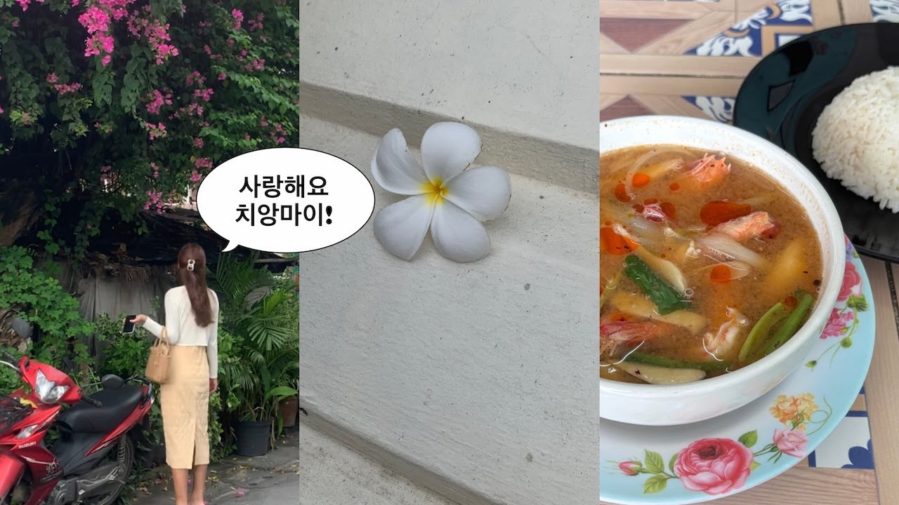 내가 꿈꾸던 치앙마이 여행의 모든 것..⭐️ 다시 가도 이 코스! 찐 좋았던 6박7일 맛집, 숙소, 카페, 액티비티 추천