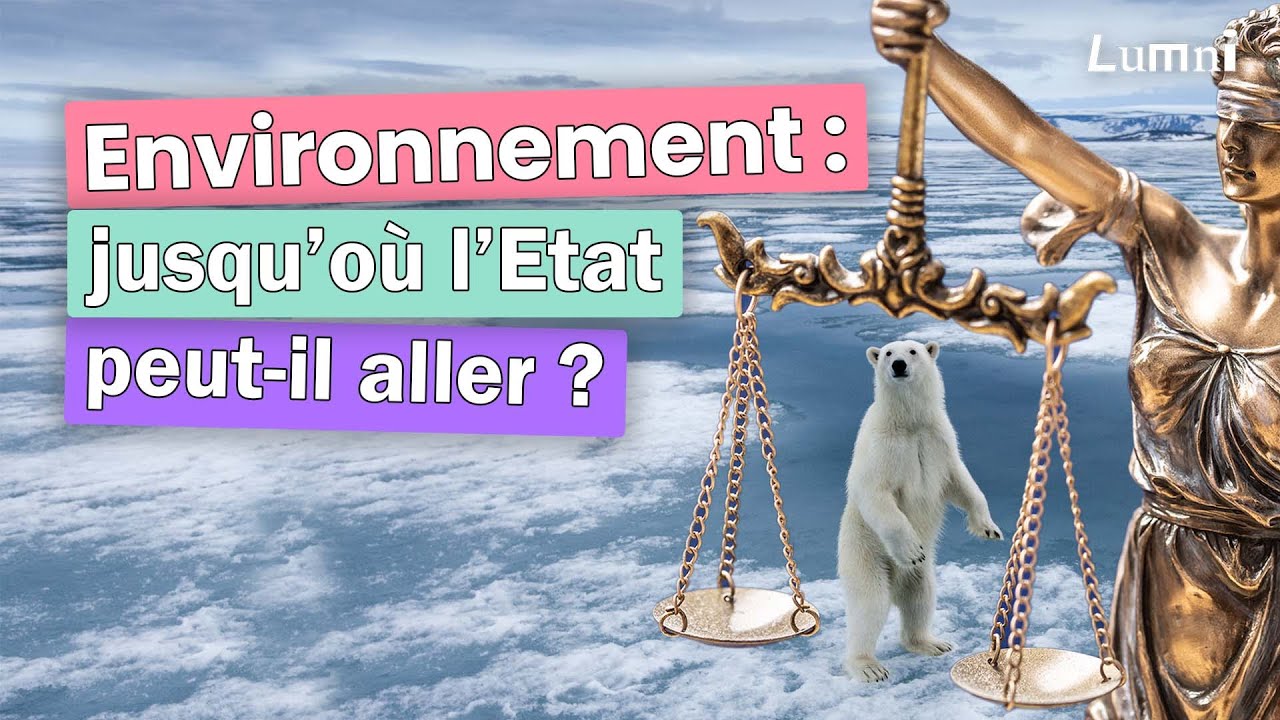Protection de l'environnement : jusqu'où un Etat peut-il aller ? | Décod'Actu | Lumni