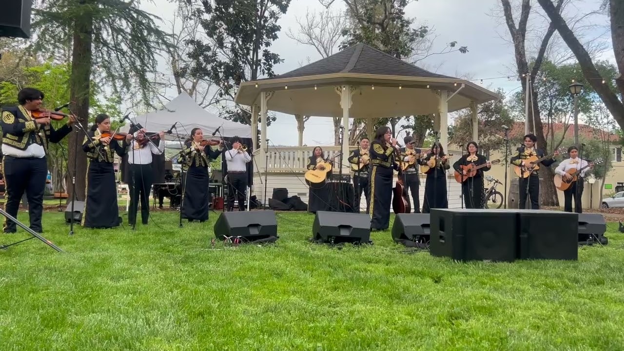 ¡Viva Mariachi! St. Helena | Mariachi Luz de Oro