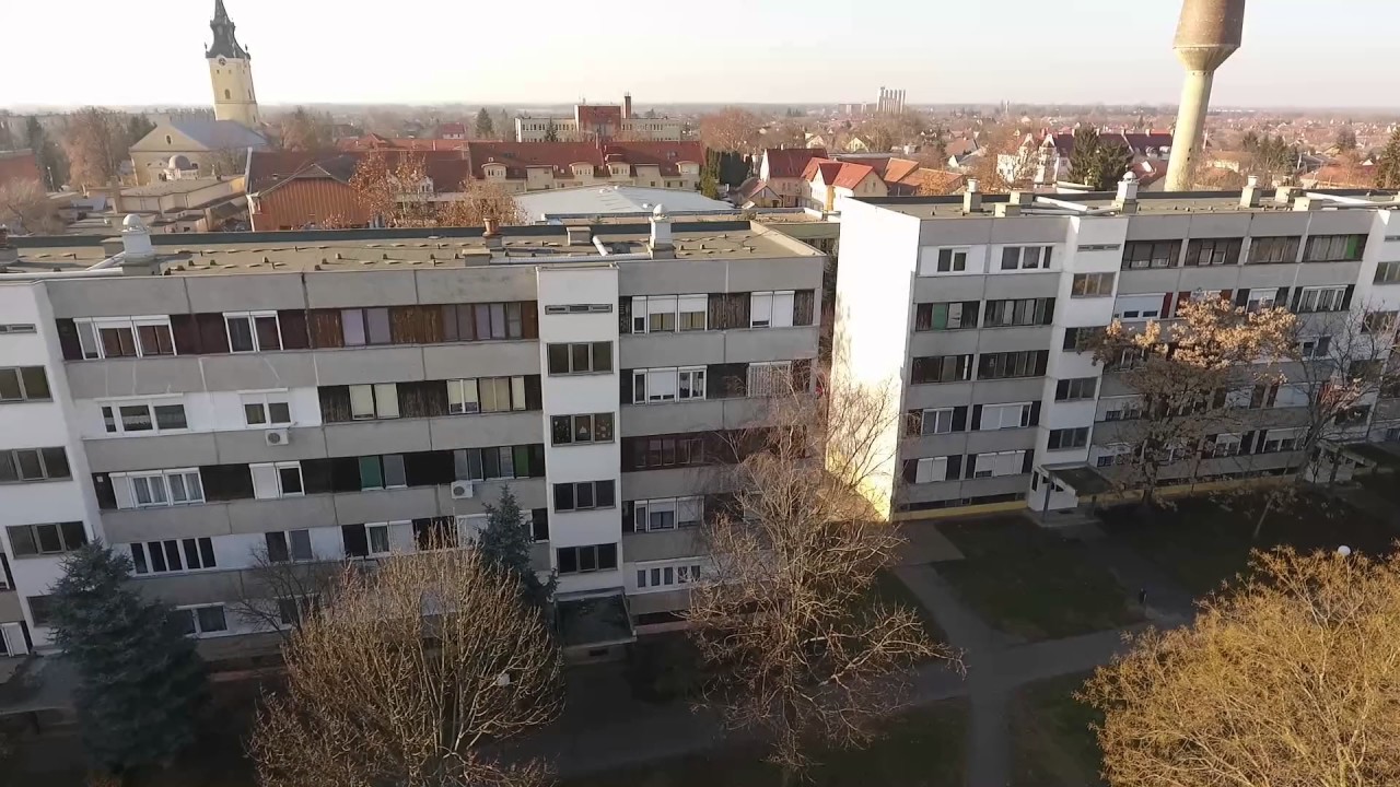 Hajd&uacute;n&aacute;n&aacute;s Mad&aacute;rt&aacute;vlatb&oacute;l
