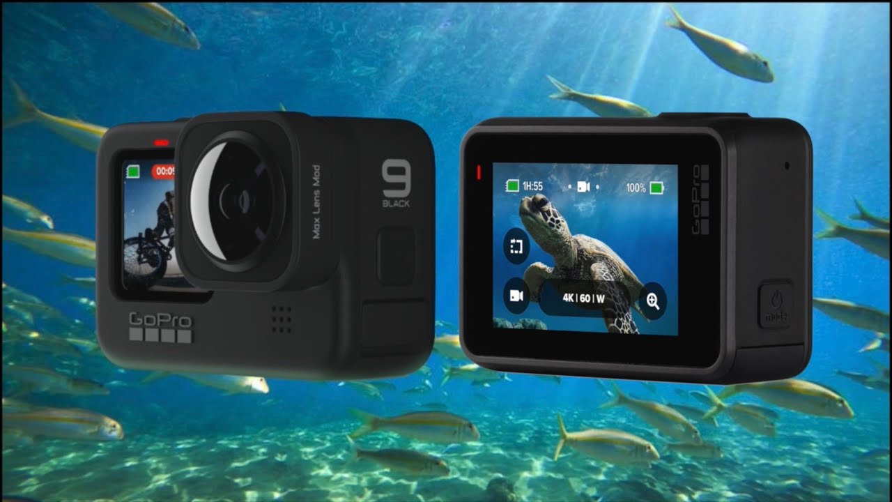 GoPro Hero 9 - The BEST Underwater Settings