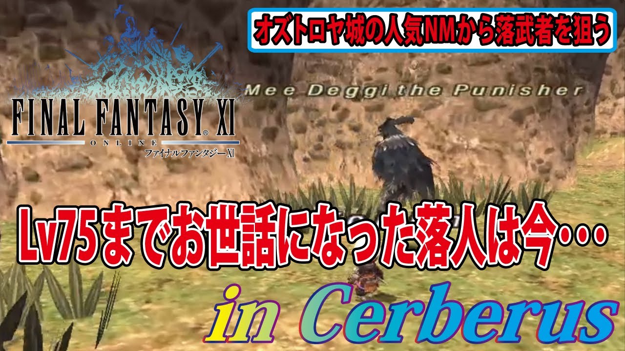 FF11 オズトロヤ城の人気NMから落武者を狙う