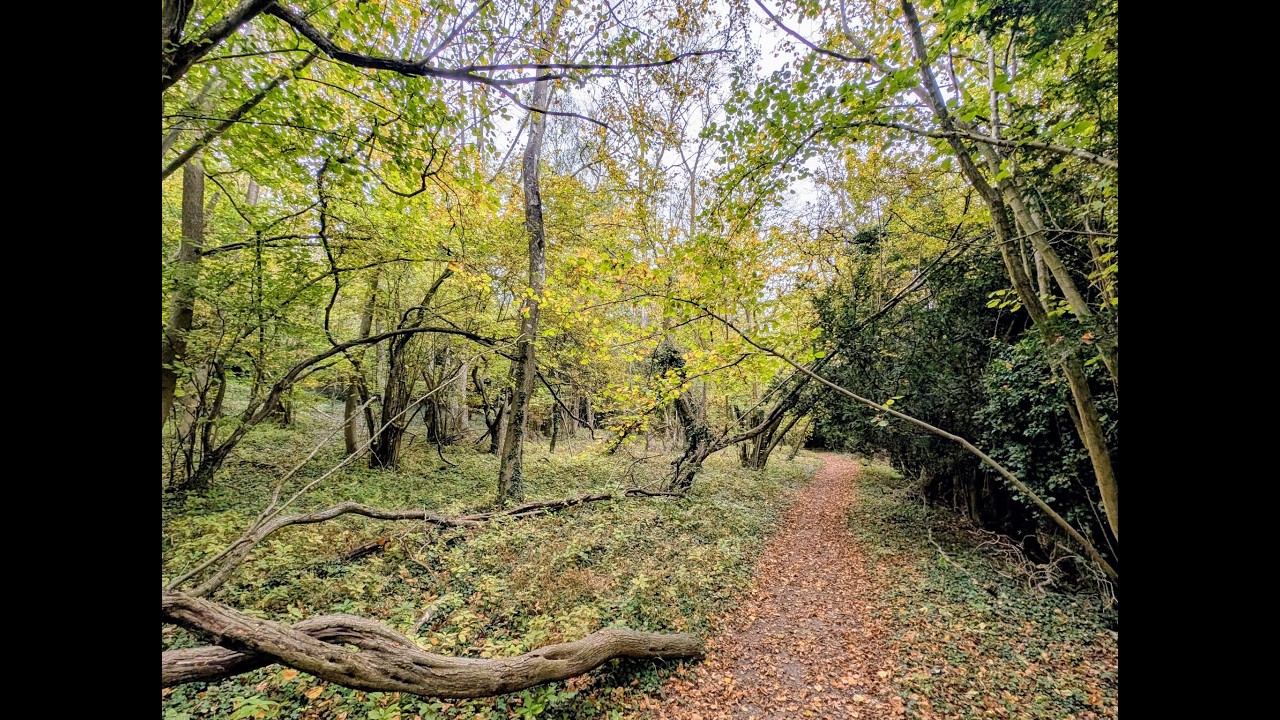 Betchworth & Buckland Nature Trail