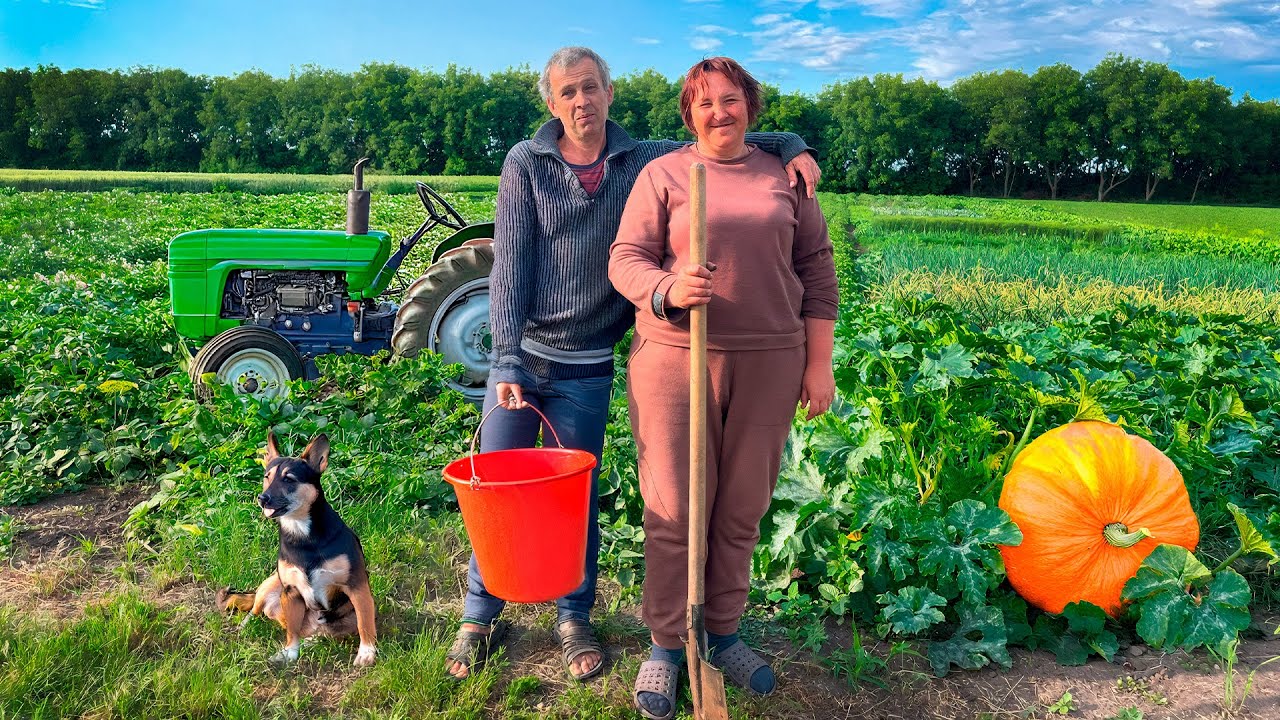 How do people live in a Ukrainian Village | Milking Cows, Family Farm & Zucchini Fritters
