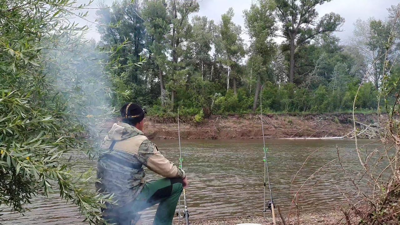 Рыбалка на опалёную и сырую печень. Две донки и один трофей