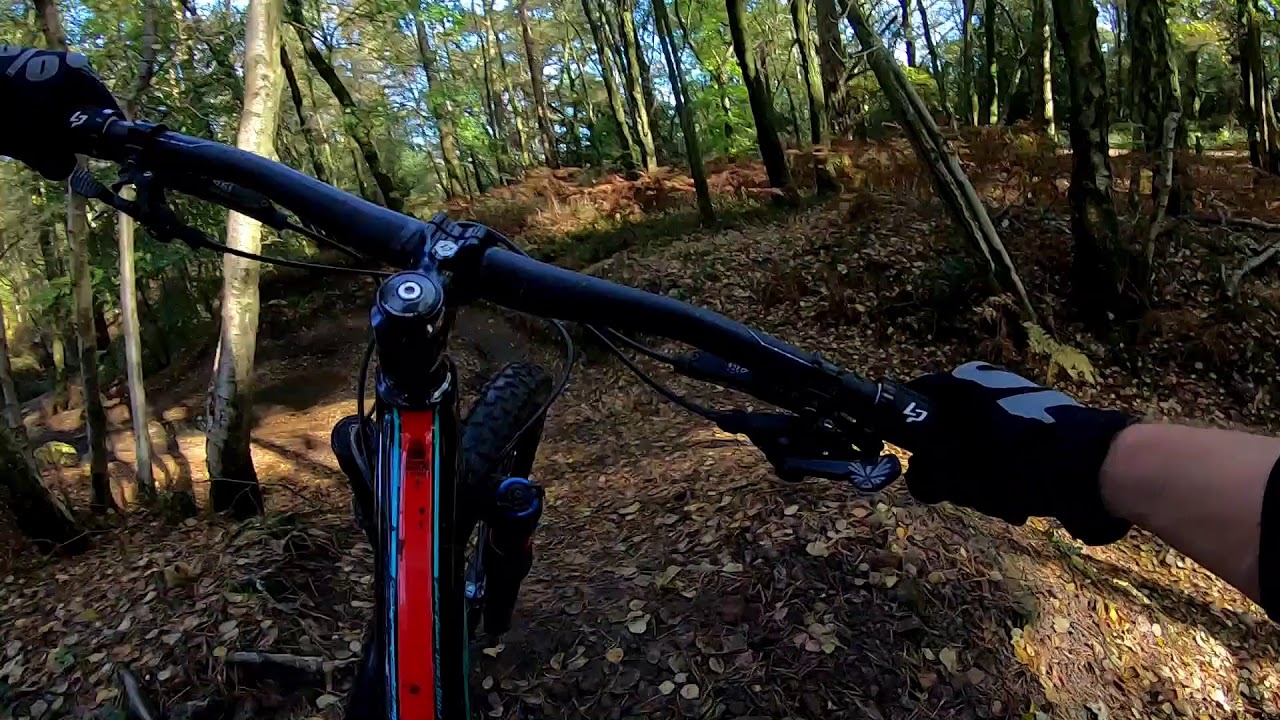 Summer Lightning Trail Re-visited 27 10 19 - Leith Hill Surrey Hills MTB