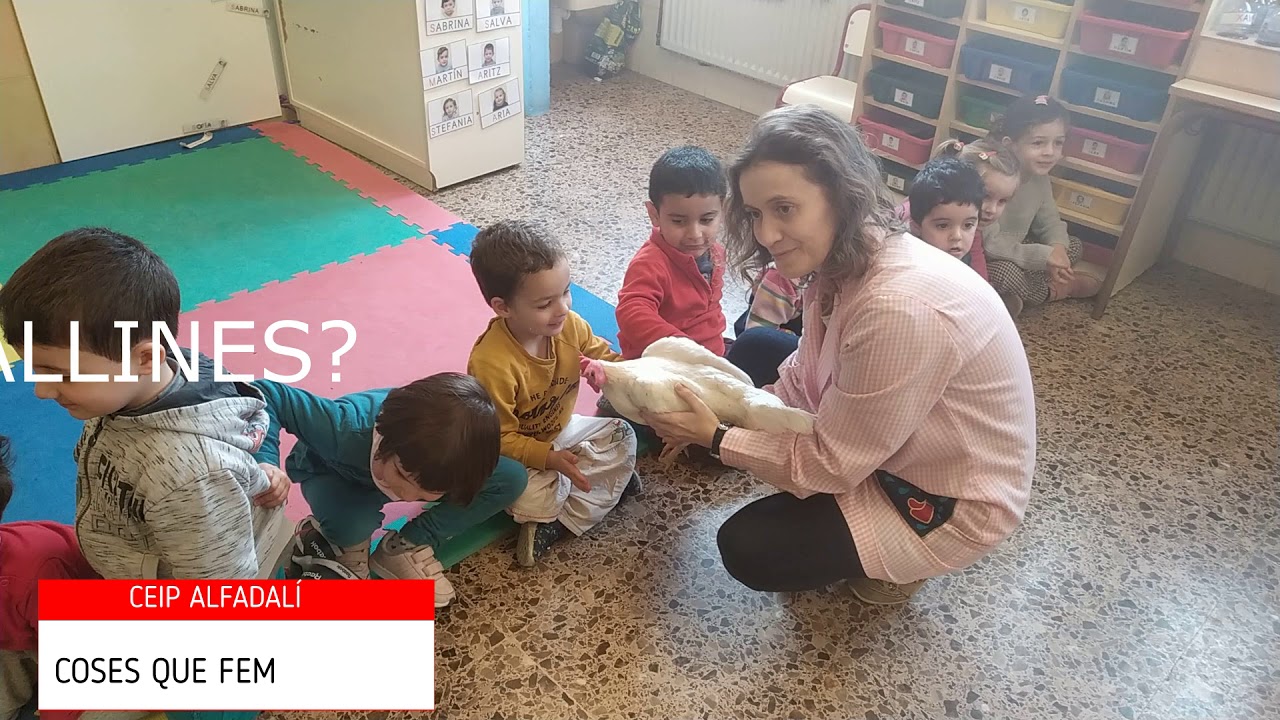 Portes obertes CEIP Alfadalí 2020