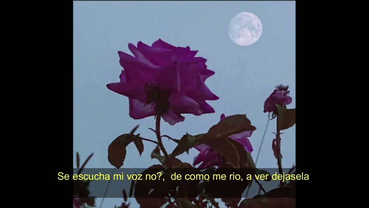 Ve y Dale | Fernando A.K.A El Fowek