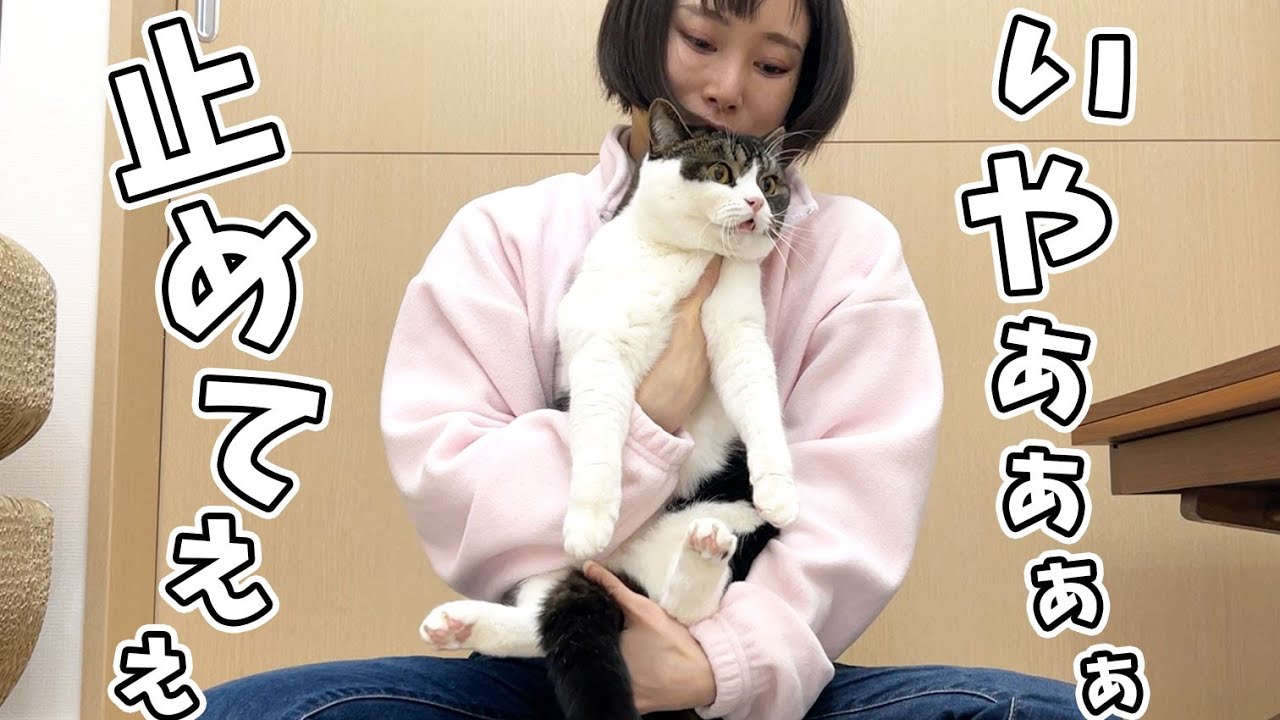 😿「ママやめてぇぇぇ！！！」息子猫に嫌われちゃったママ…