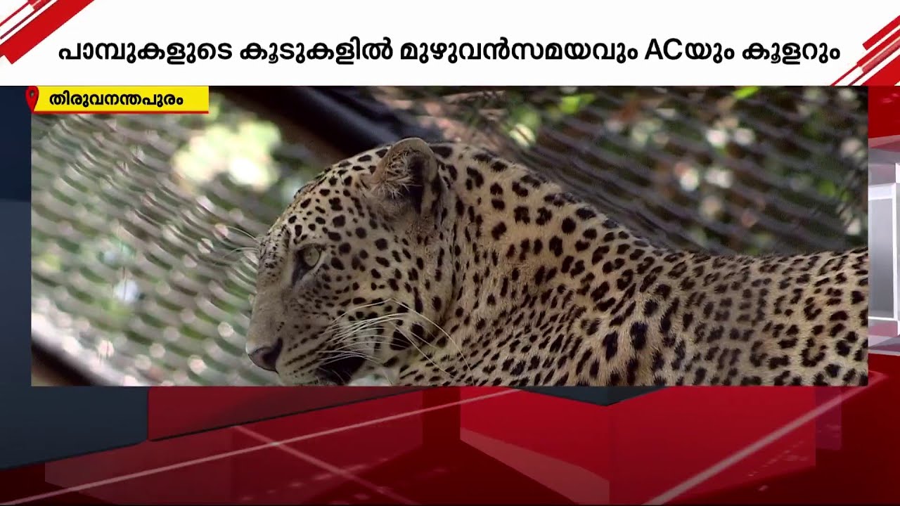 കാടിനോളം വരില്ലല്ലോ കൂട്.. കൊടും ചൂടിൽ മൃഗങ്ങളെ തണുപ്പിച്ച് തിരുവനന്തപുരം മൃഗശാല