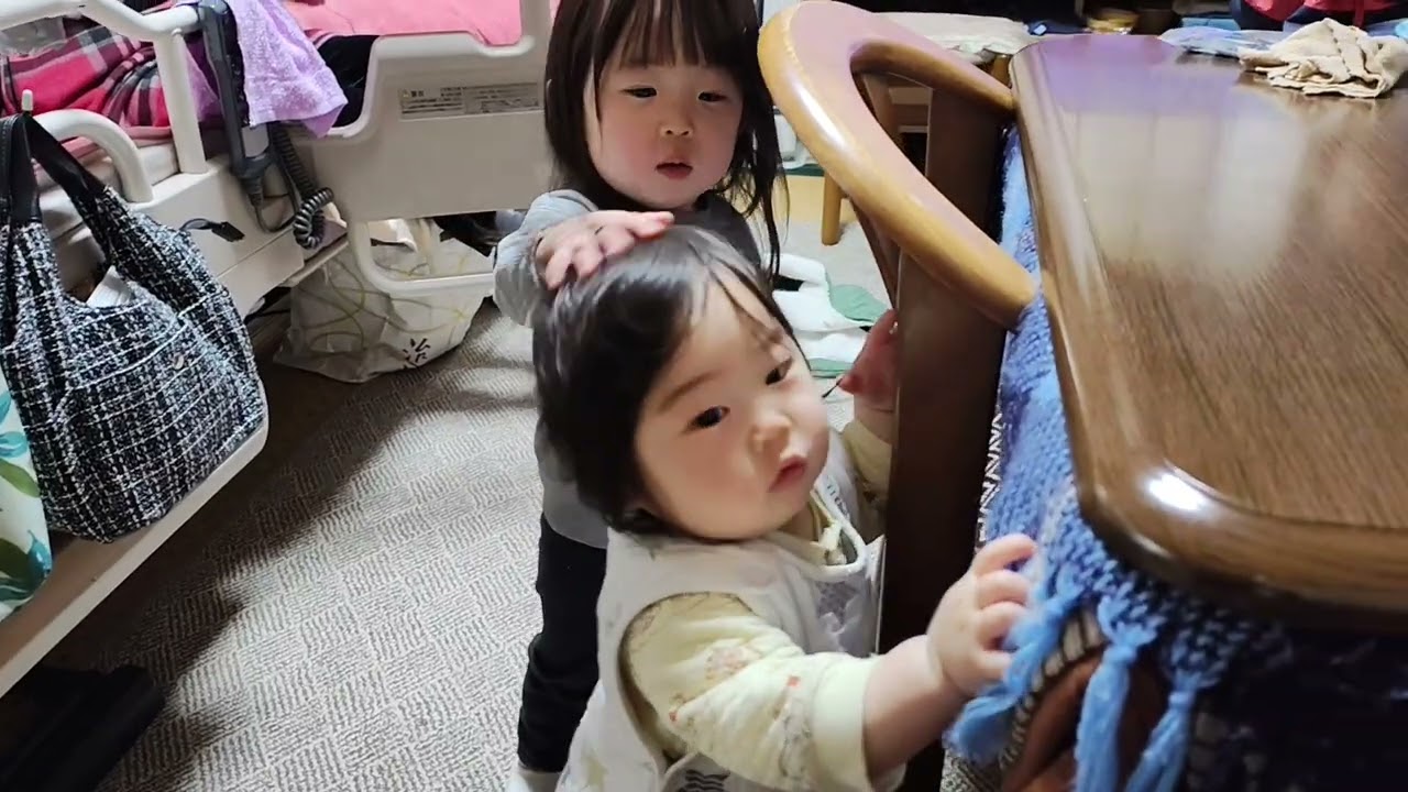 2026/02/24赤ちゃんの面倒をみたくて仕方ない