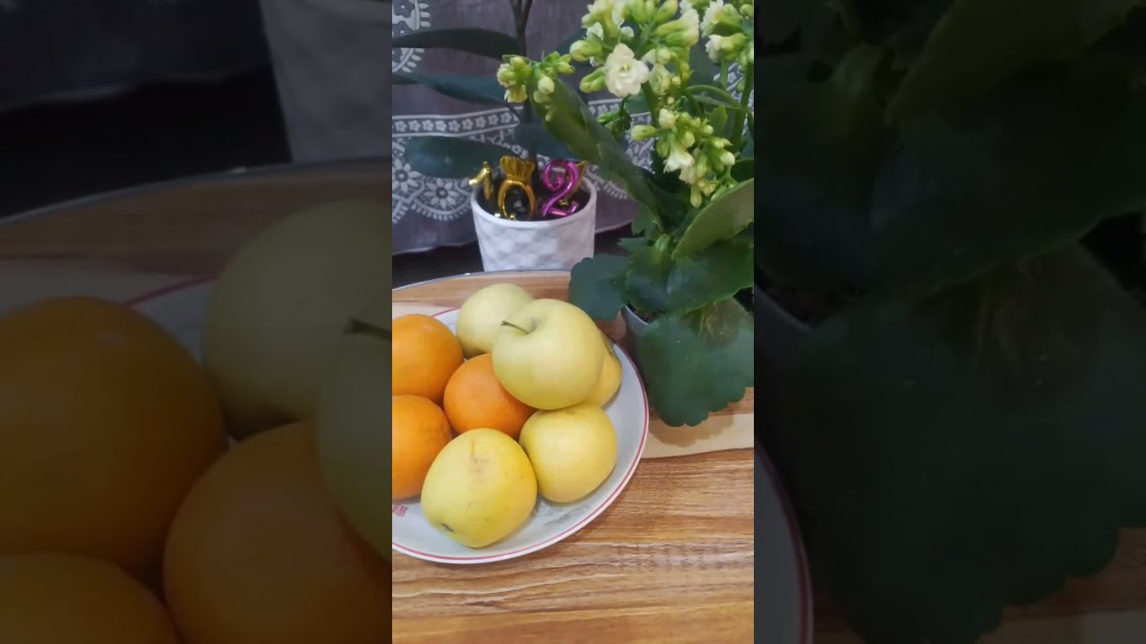 بدأت قناة "يوميات ام علي " بثًا مباشرًا
