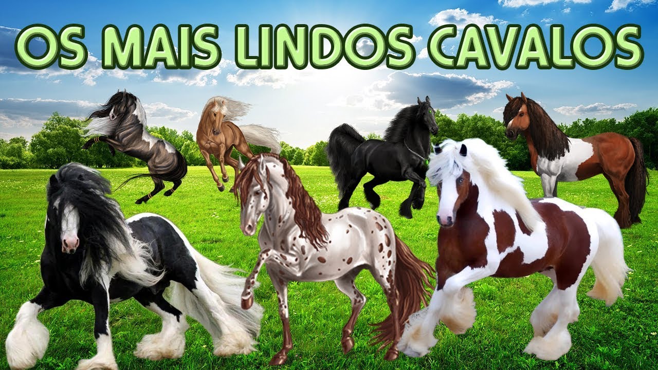 6 LINDAS RAÇAS DE CAVALOS
