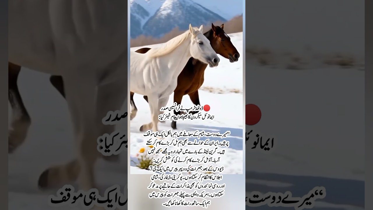 Trump Shares Macron’s Message | Syria, Iran, Greenland & G7 Talks in Paris