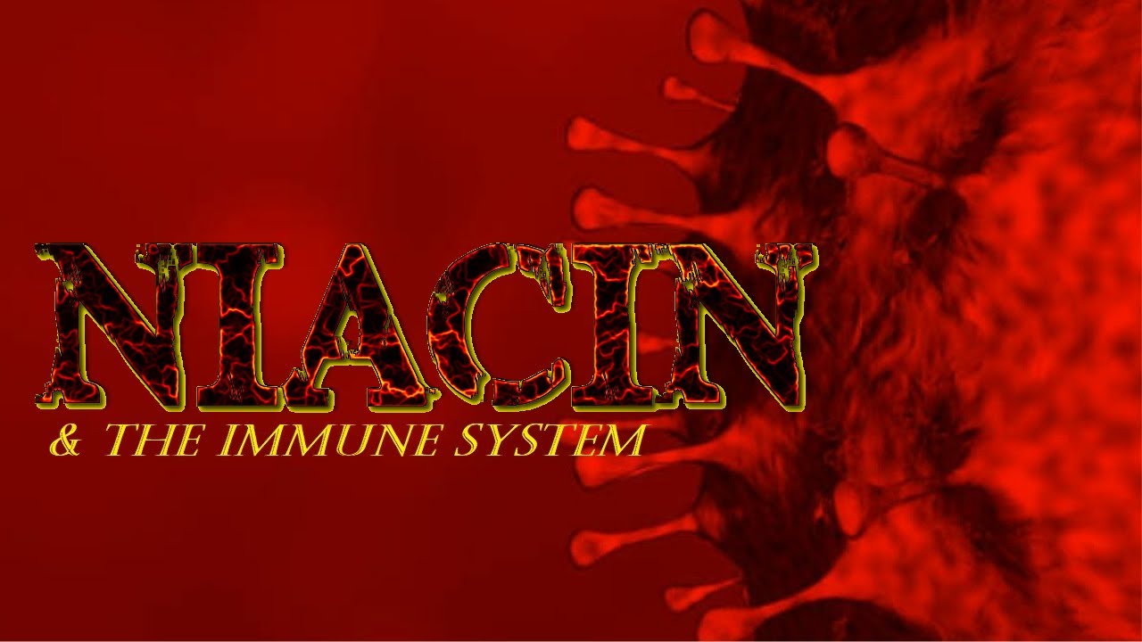 Niacin and the immune system