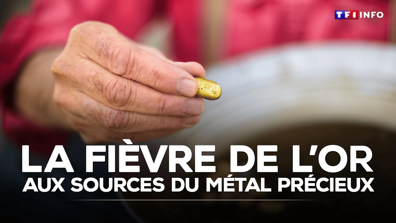 La fièvre de l'or : aux sources du métal précieux｜TF1 INFO