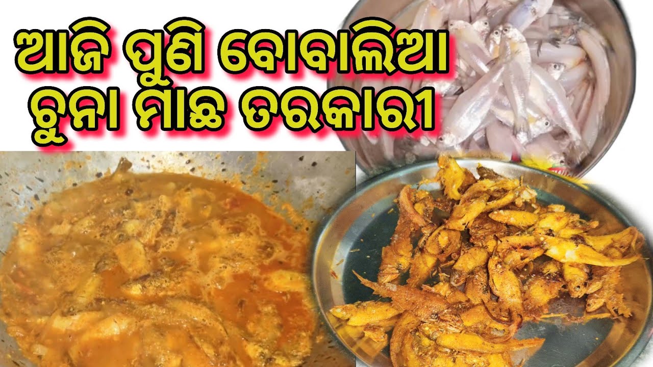 ସମୁଦ୍ର ଚୁନା ମାଛ ତରକାରୀ//ଚୁନା ମାଛ ଭଜା// Fish Curry in odisha @pradeepduarivlogs 