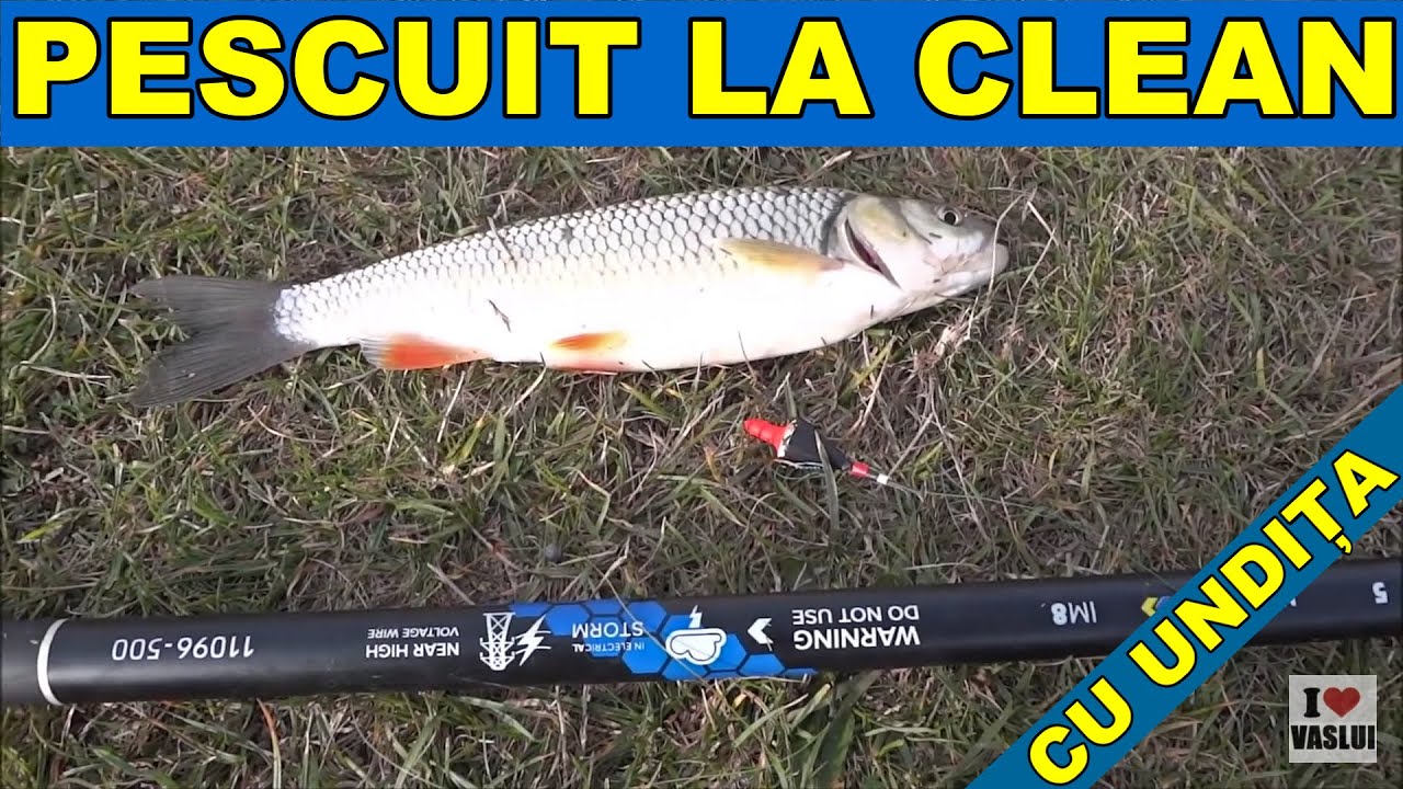 # Tehnica de pescuit la clean cu undita pe râu ( chub fishing on river at cricket bug )