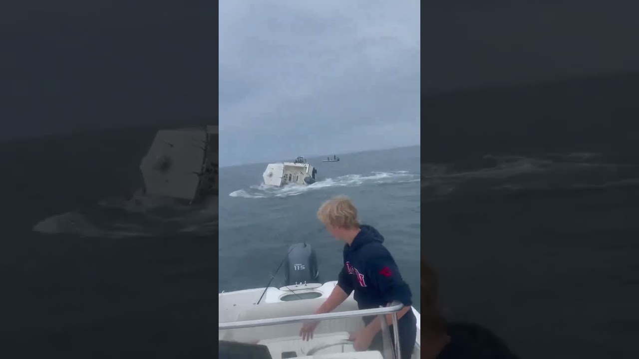 Unexpected Encounter: Whale Lands on Boat! 😮😱 #viralvideo #wildlifebehavior #naturevideo #whale
