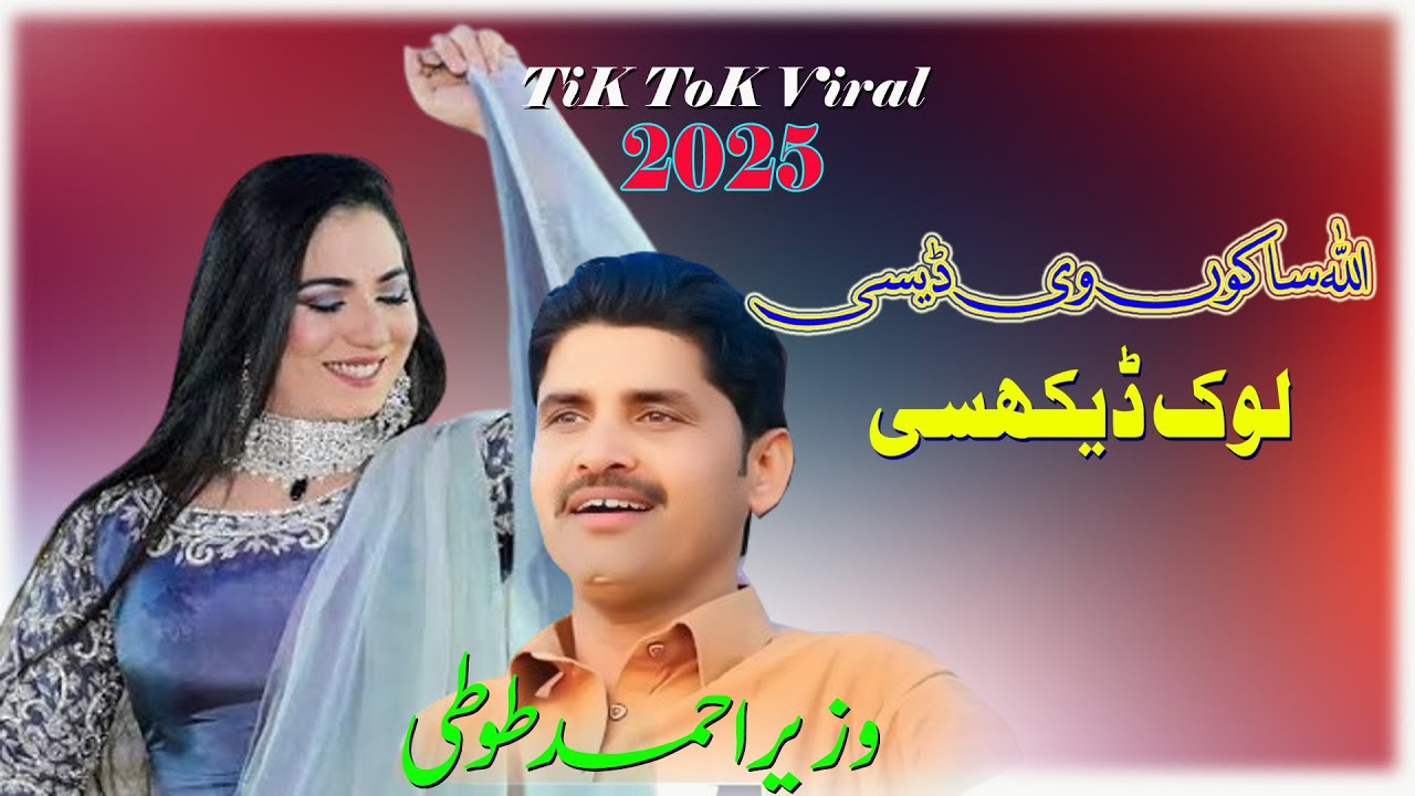 Allha Sakon Ve Desi || TiK ToK Viral Song || Wazeer Ahmad Toti || 2025 || Waseeb Production