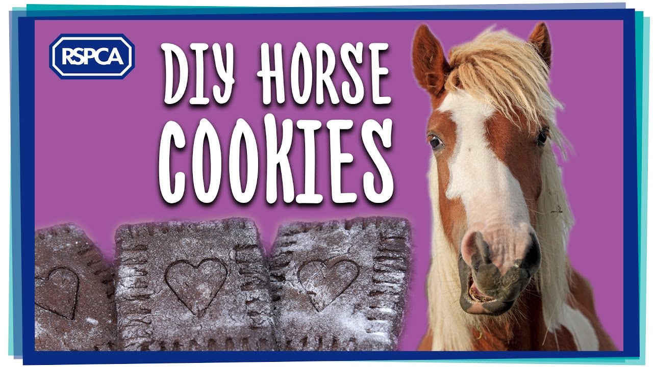 How to make DIY horse cookies | easy treat recipe